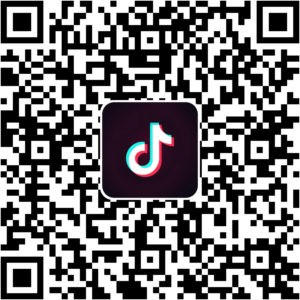 抖音小程序